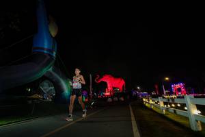 BIB: 
                            <button type="button" onclick="openModal(26553909)" class="btn btn-primary btn-sm float-right btn-popup" data-toggle="modal" data-target=".modal-high-quality">
                        <i class="fas fa-shopping-cart"></i> Add to Cart
                    </button>
                                            <button type="button" onclick="isThisMe(26553909, true)" class="btn btn-success btn-sm float-right btn-popup btn-isme hidden" data-toggle="tooltip" data-placement="bottom" title="นี่คือรูปของคุณใช่ไหม คลิกที่นี่เพื่อเอาเข้าอัลบั้ม">
                        <i class="fas fa-plus"></i> Add to album
                    </button>
                    <button type="button" onclick="isThisMe(26553909, false)" class="btn btn-warning btn-sm float-right btn-popup btn-isnotme hidden">
                        <i class="fas fa-ban"></i> Remove from album
                    </button>